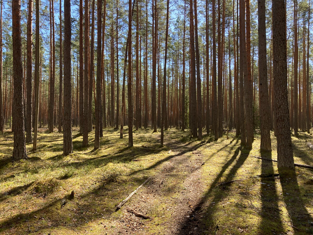 Листайте галерею >>