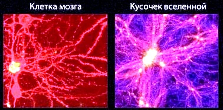 Разве вас не удивляет это подобие?!