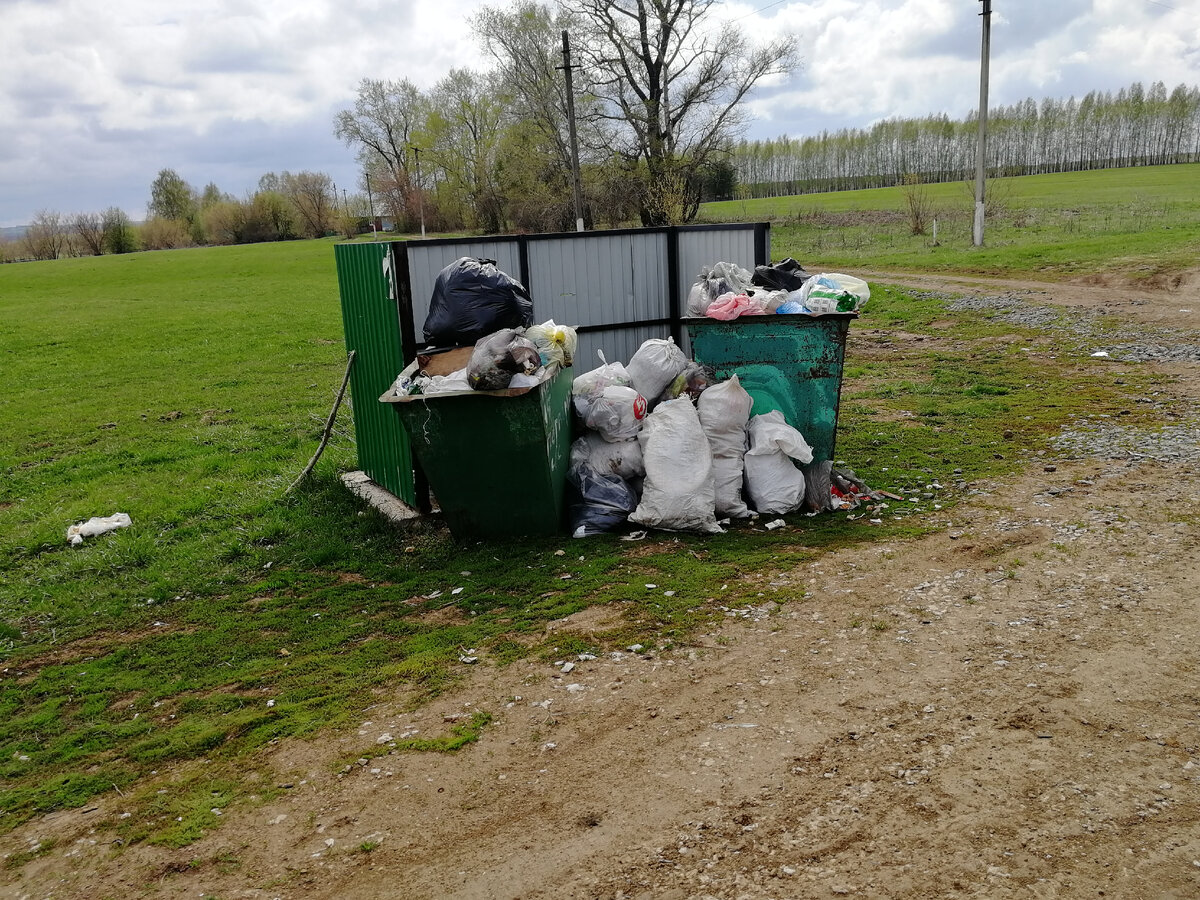 Мусор не вывозится второй месяц. В прошлом году такого конечно не было. Вроде как идет смена мусорного агрегатора, но кто его знает как там у них, наверху. Фото автора. 