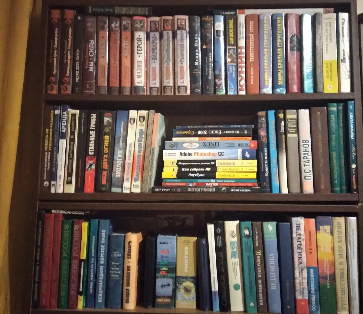 Один из книжных стеллажей автора.