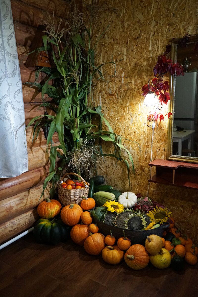 Осенью украшаю дом дарами огорода