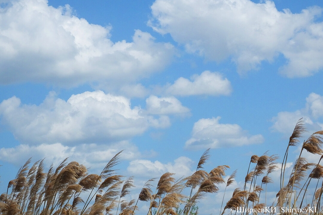 Такой была середина дня