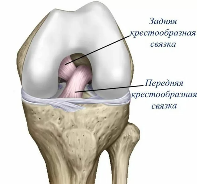 Лигаментит голеностопного сустава