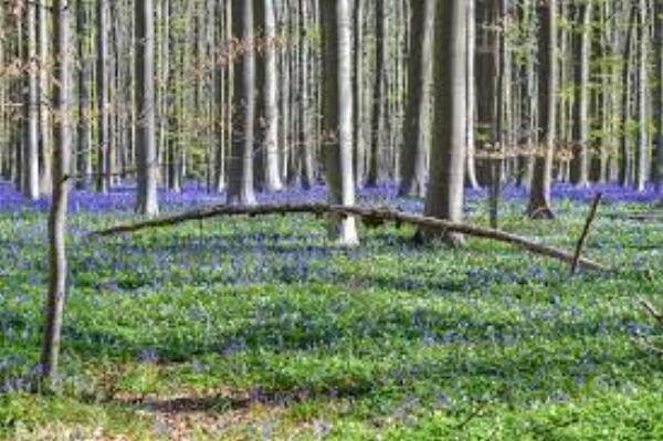 Источник фото: pixabay 