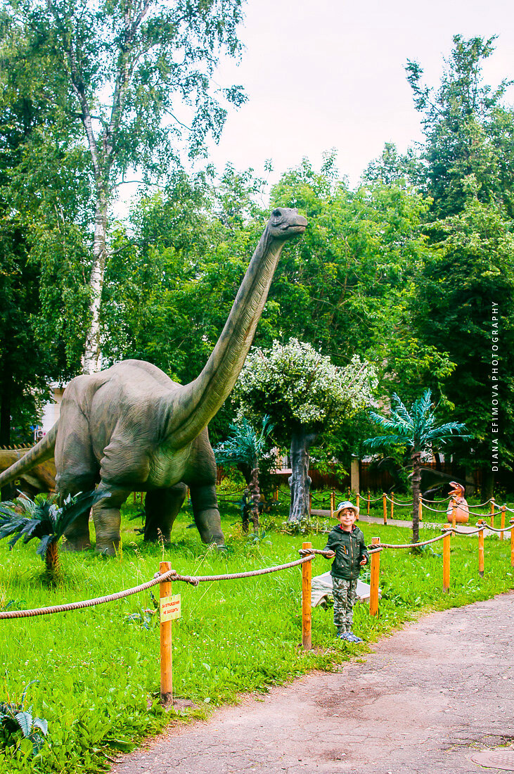 25 НЕВЕРОЯТНЫХ факта о Ярославле, после чего вы захотите его увидеть ...