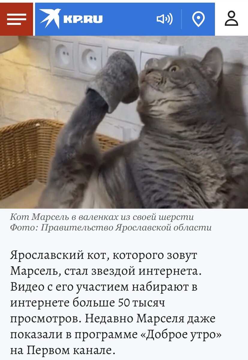 Такая заметка в Комсомолке