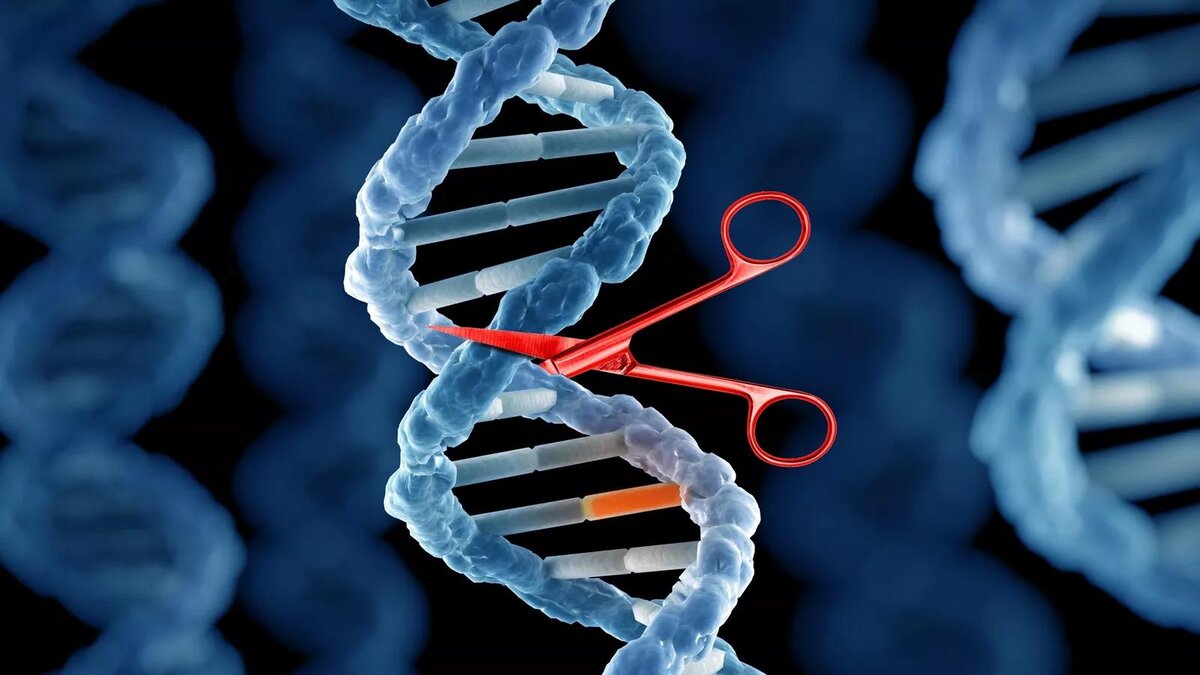 Изменение молекул днк. Технология редактирования генов CRISPR/cas9. CRISPR/cas9 редактирование генов. Генетика CRISPR. Редактирование генома с CRISPR/cas9.