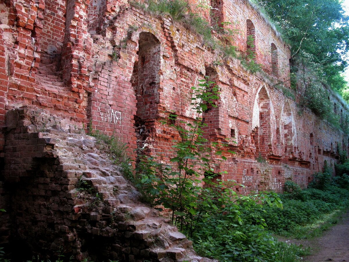 фото из интернета