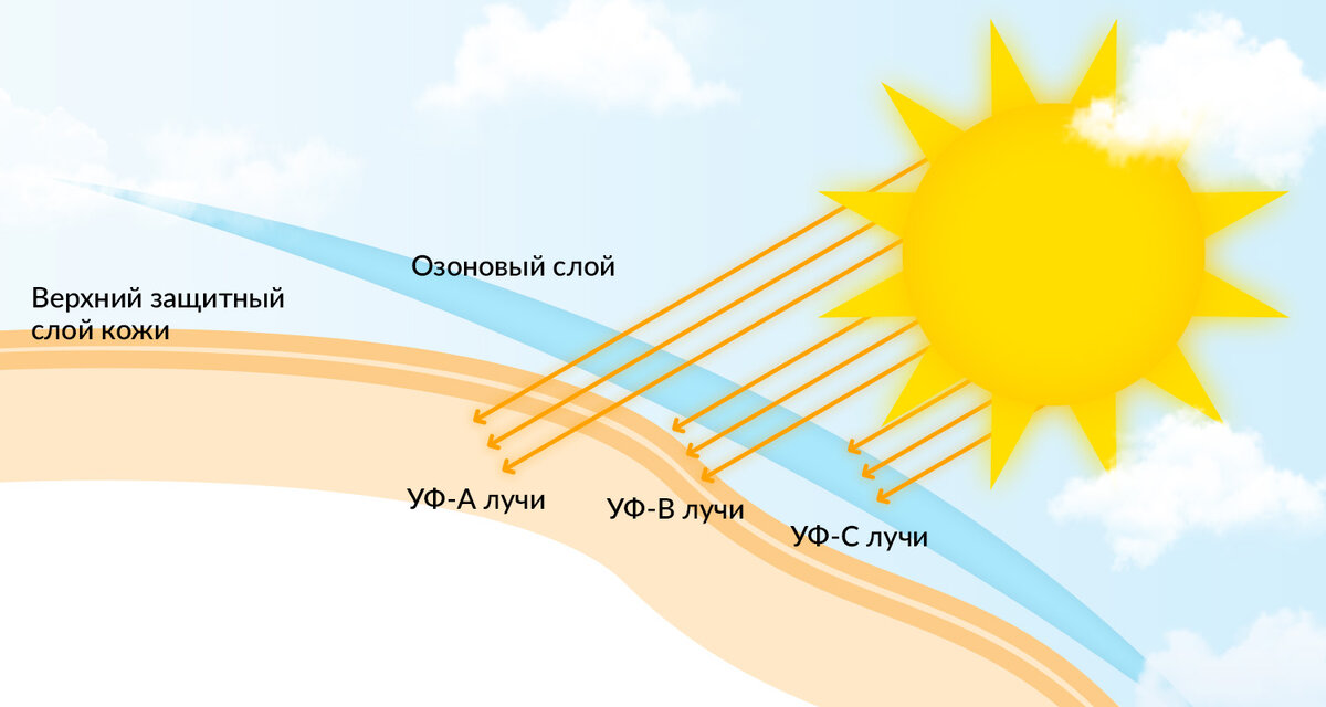 Uva uvb лучи что это. поликарбонат ультрафиолетовая защита обозначение. воздействие солнечных лучей на кожу. спектры солнечного излучения uva. защитный слой поликарбоната.
