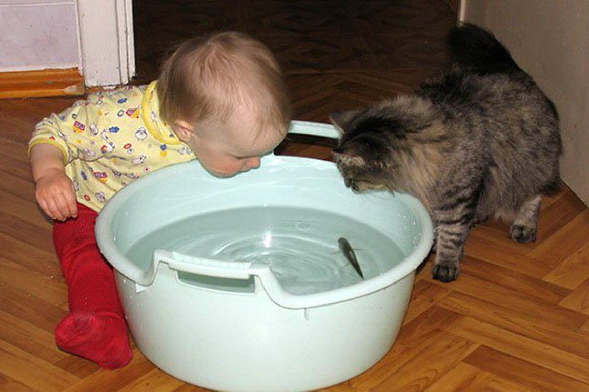 «Друзья навеки», - 15+ трогательных кадров любви между ребенком и ...