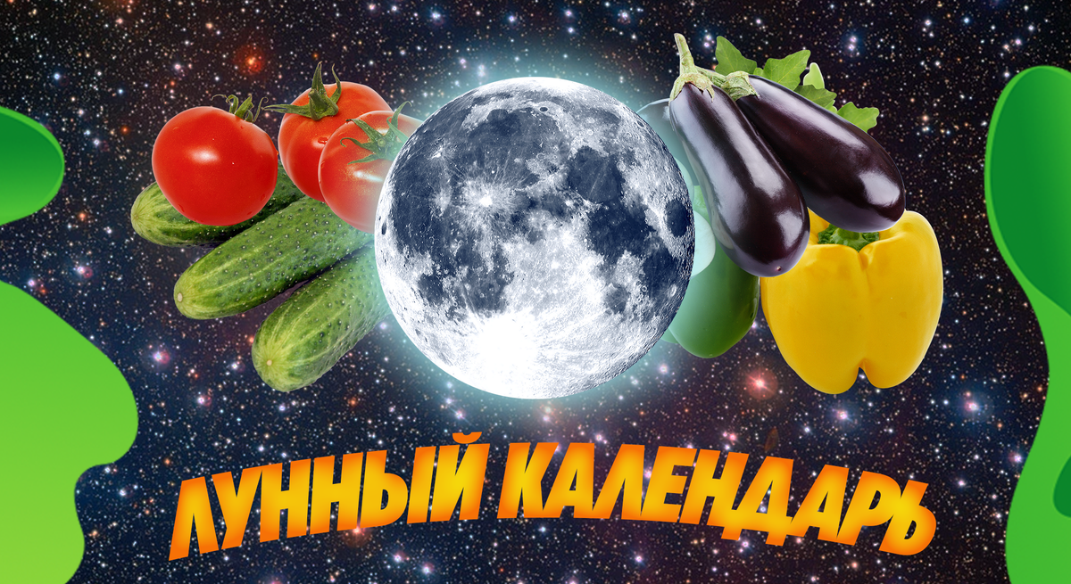 Мир космоса лунный календарь садовода 2025