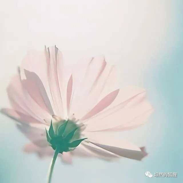 Источник: 微信