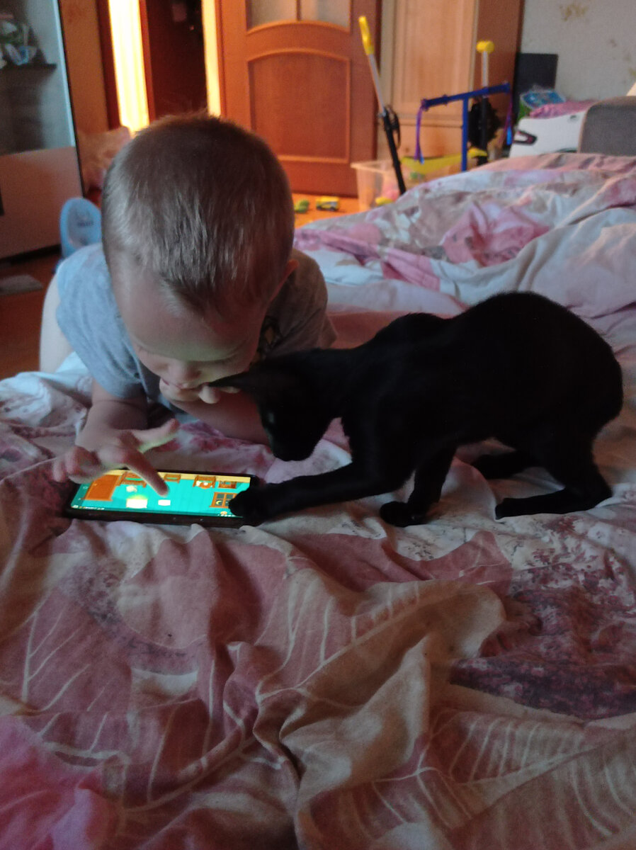 Кстати, телефоны они тоже любят :) 