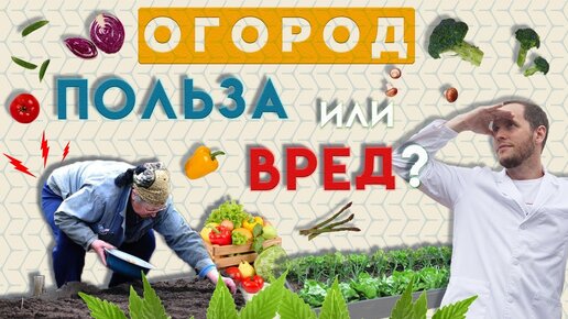 Огород – это полезно! Как огород вредит пожилым людям