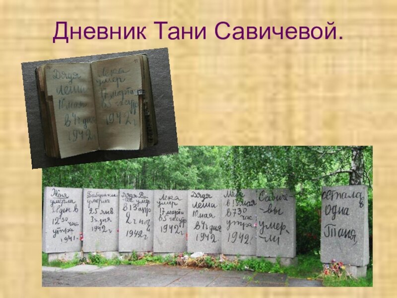 фото из интернета