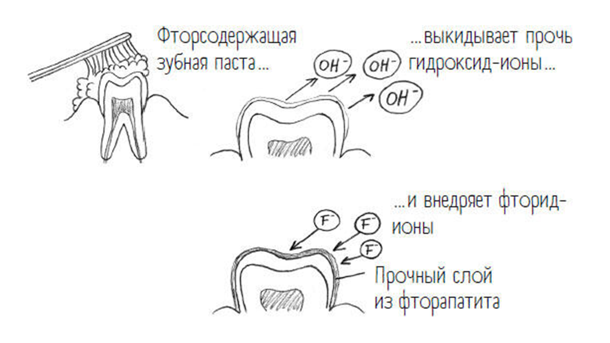 Действие фтора со структурой зубов