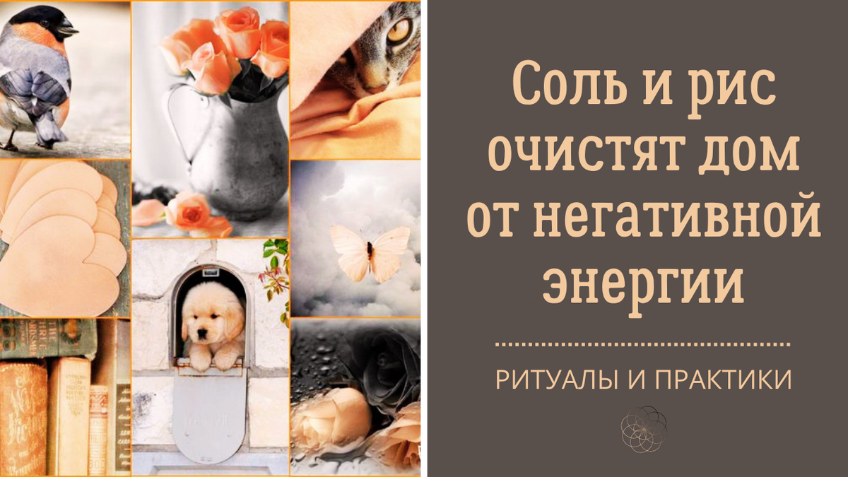 Соль и рис очистят дом от негативной энергии | Анна Клишина. Путешествия  без границ | Дзен