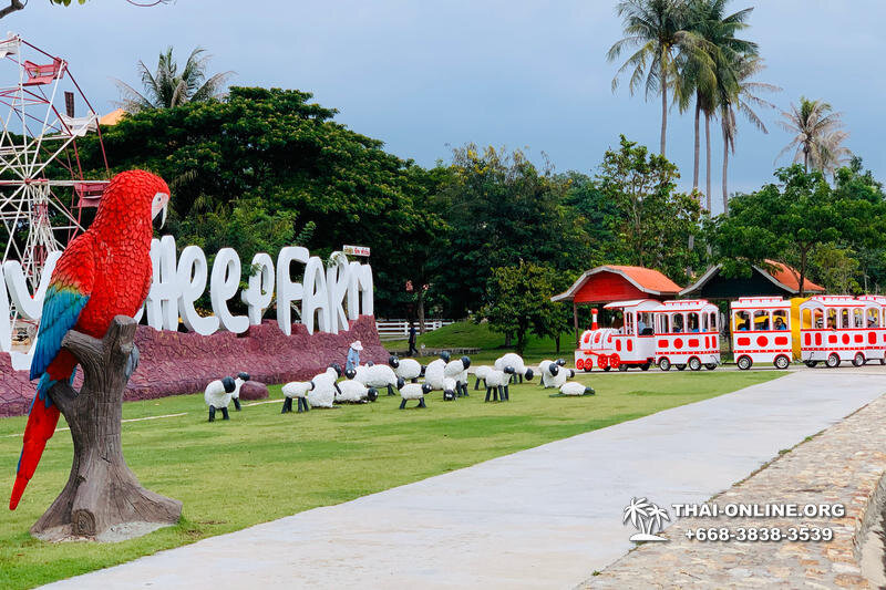 Экскурсия "В Мире Животных" в Паттайе претерпела значительные изменения!