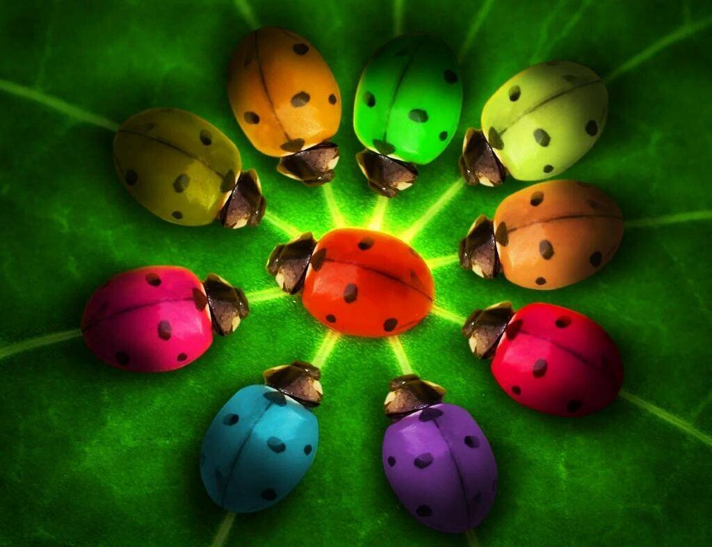 изображение из свободного источника.