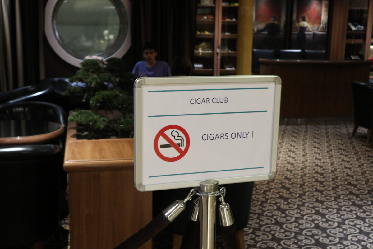 Гигантский дискобар на воде! Как выглядит изнутри десятипалубный паром из Стокгольма в Таллин