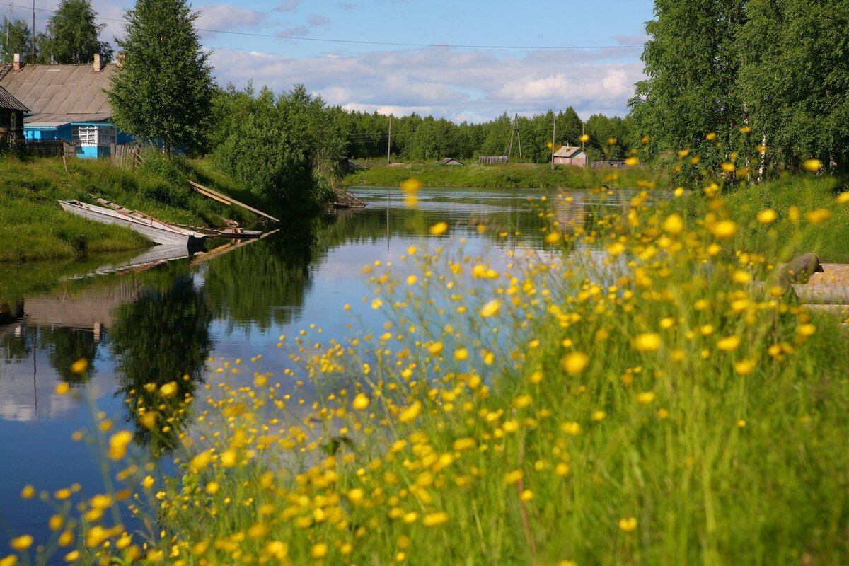 Яндекс. Картинки.