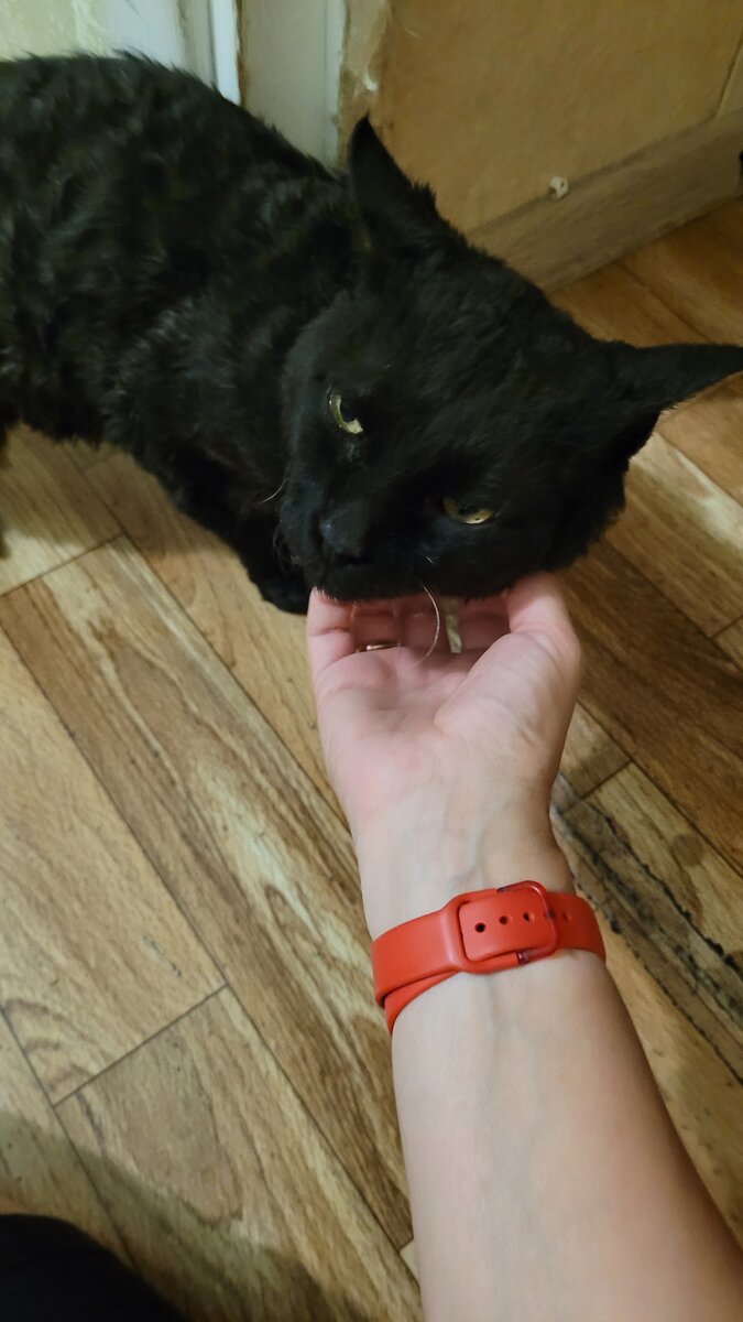 "взболтать, но не смешивать",.. то есть "погладить можно, но руки держи подальше"