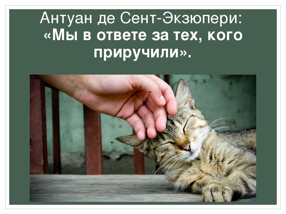 Фото из интернета