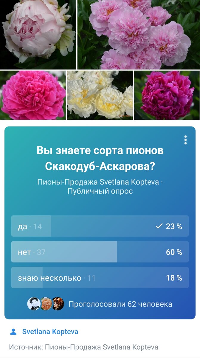 Результат не радует, 60% не знакомы с сортами из Казахстана.Надо пробел заполнять знаниями об пионах отца и дочери Скакодуб.