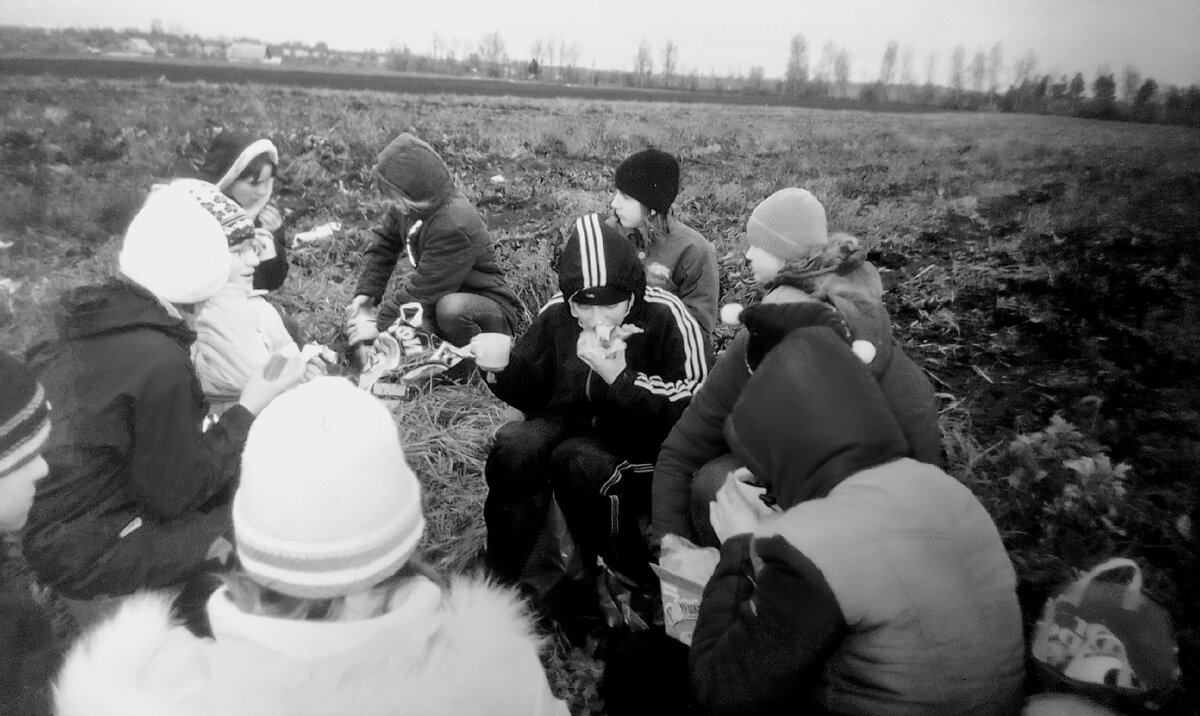 Школьники и студенты на уборке урожая. 10 фото из прошлого века | Память по  льготному тарифу | Дзен