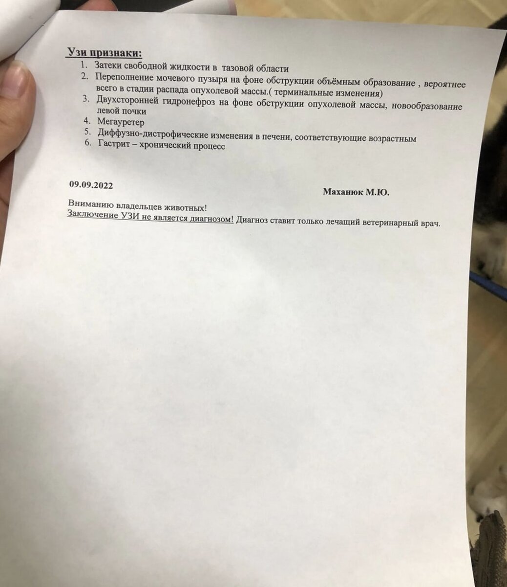 Заключение узи в пятницу