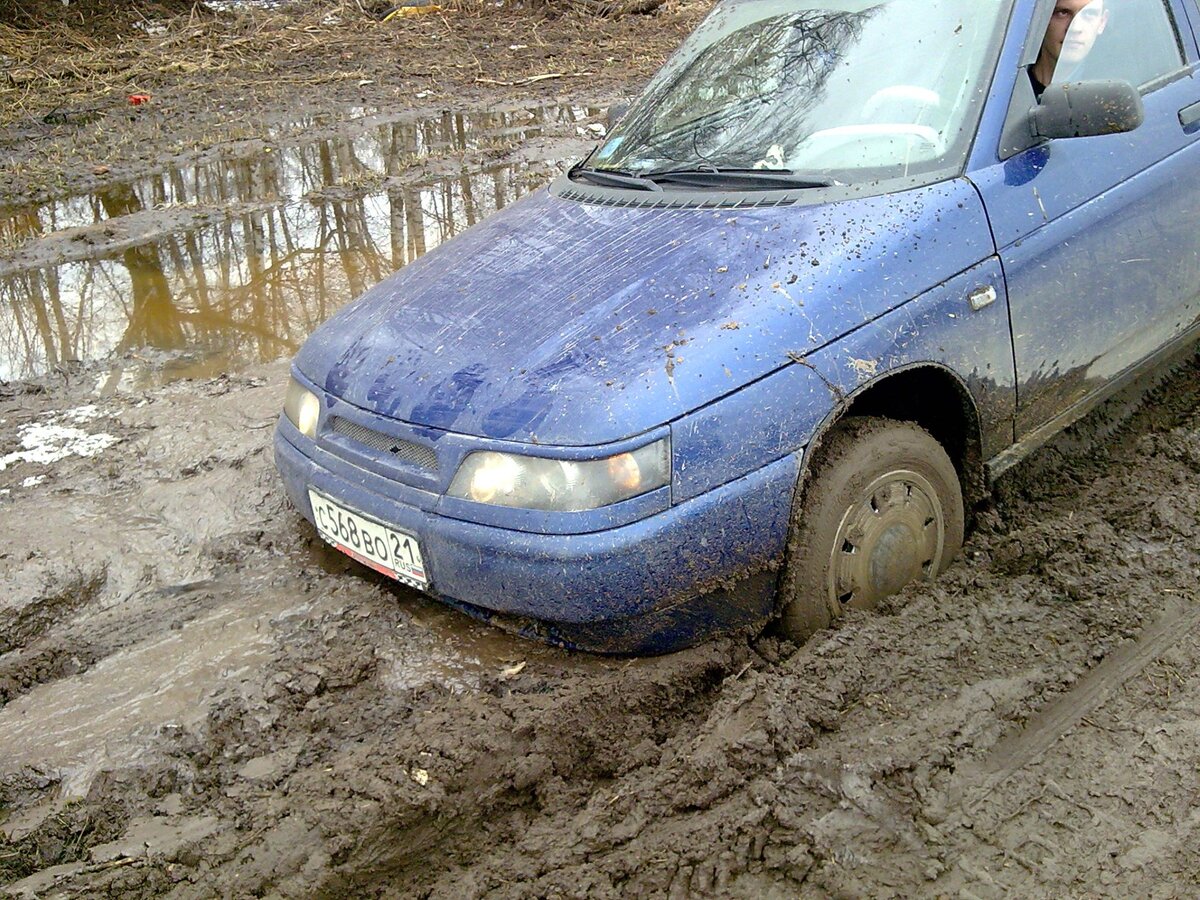 фото https://a.d-cd.net/