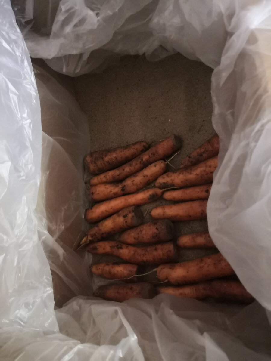 Укладывали слоями и пересыпали песком 