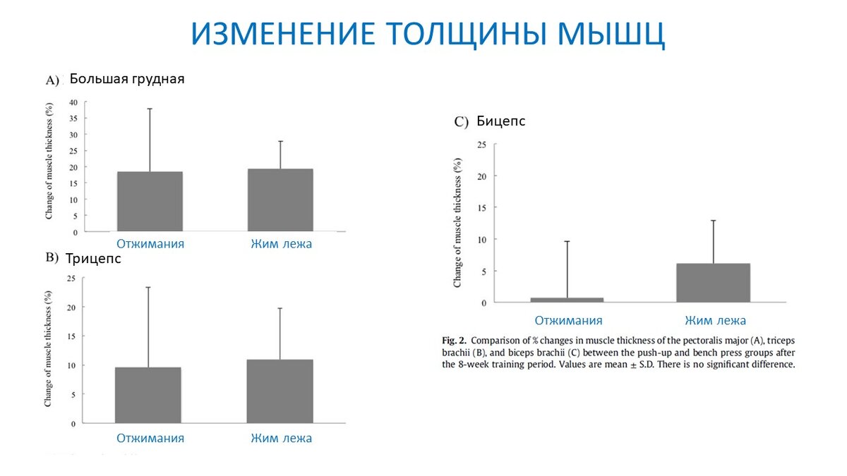 Рисунок 1. Изменение толщины трех мышц после эксперимента.