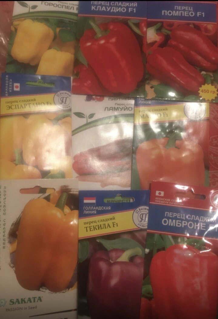 Перцев отзывы Перцев отзывы