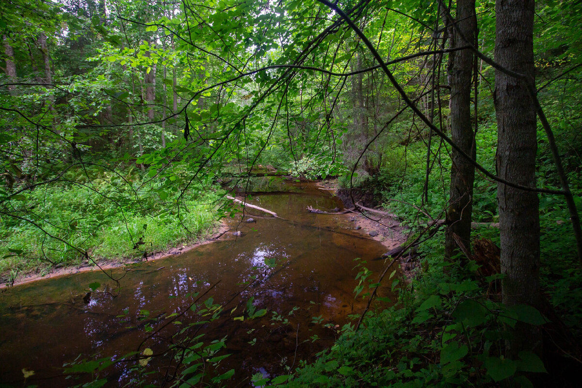 Вид с обрывистого берега реки