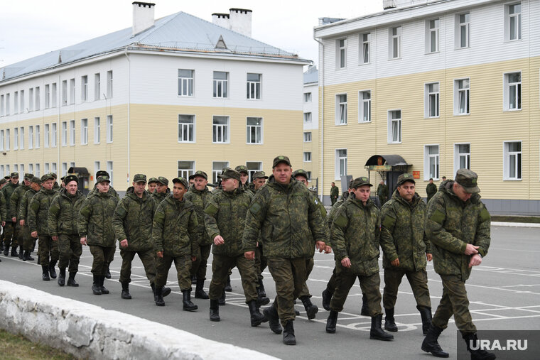    По словам Игоря Никулина, на фронте должна воевать профессиональная армия