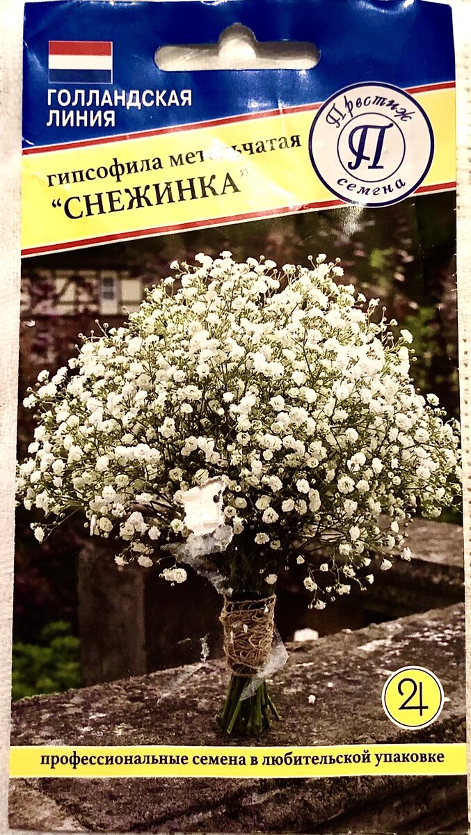 Гипсофила