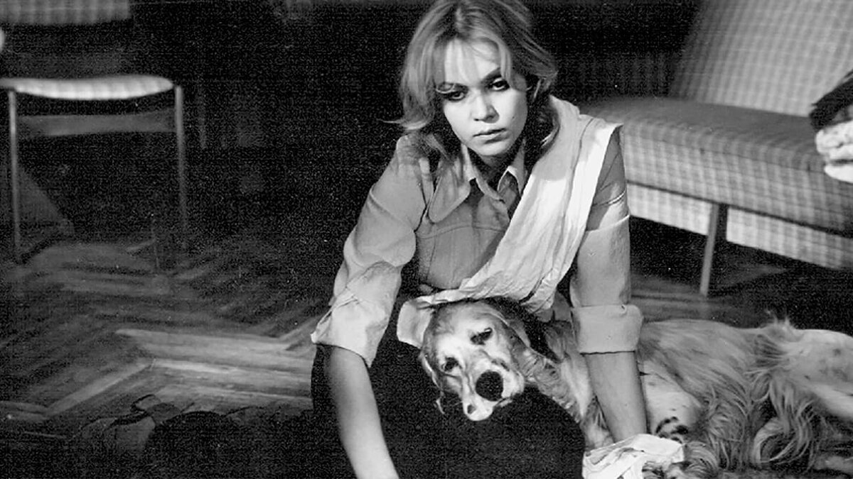 "Белый Бим чёрное ухо" 1977г