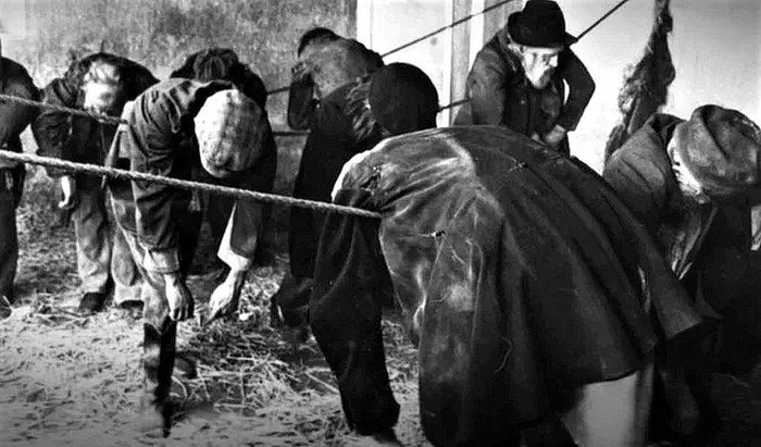 Крепкий здоровый сон на верёвке обходился в 2 пенса. Полноценное же спальное место здесь стоило 4 пенни и представляло из себя продолговатый деревянный ящик 