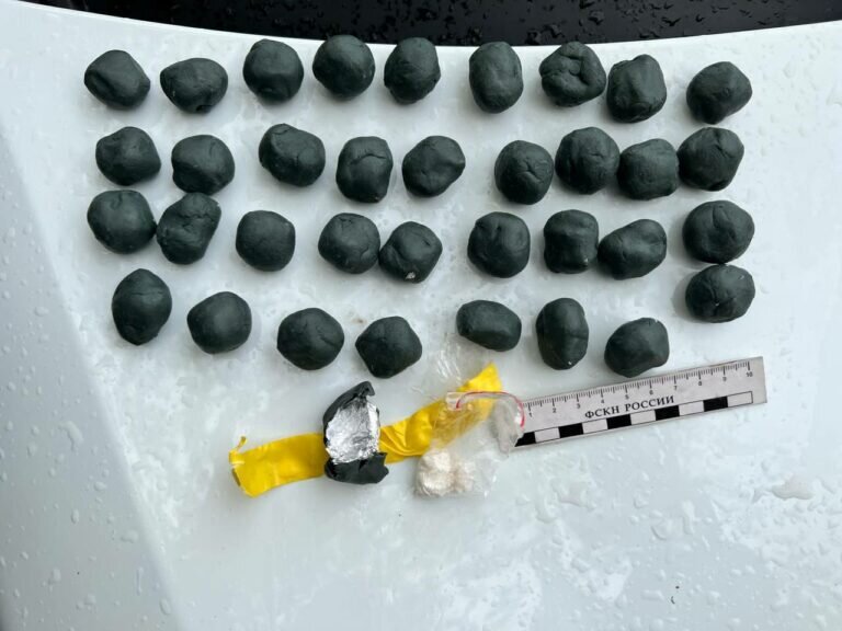    В Оренбурге задержали 27-летнюю закладчицу с крупной партией наркотиков Марина Шарт