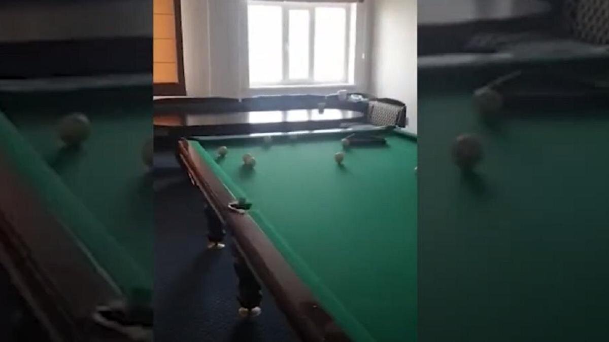   Бильярдный стол в кабинете:tiktok.com/@userdyfjcz88lq