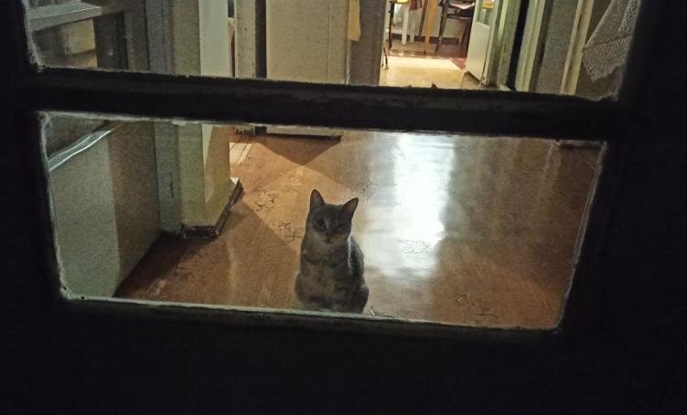 Буся вызывает Лялю из комнаты дружить