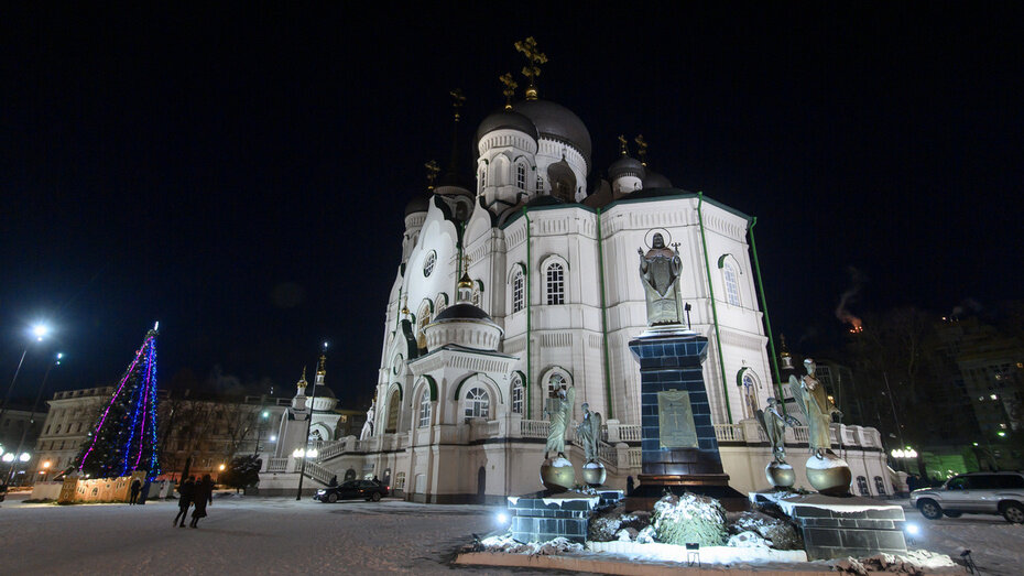   Автор фото: пресс-центр правительства Воронежской области