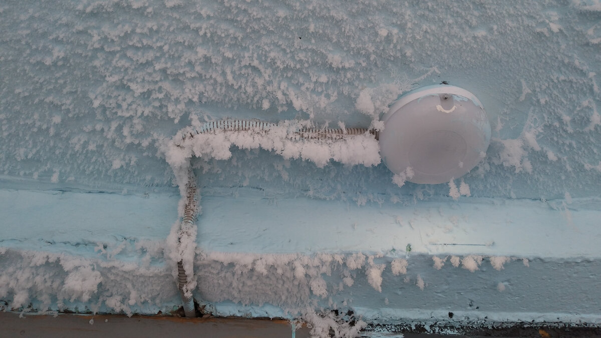 Утром мороз уже пробирался в подъезд)