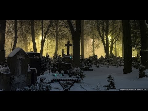 Картинка из интернета