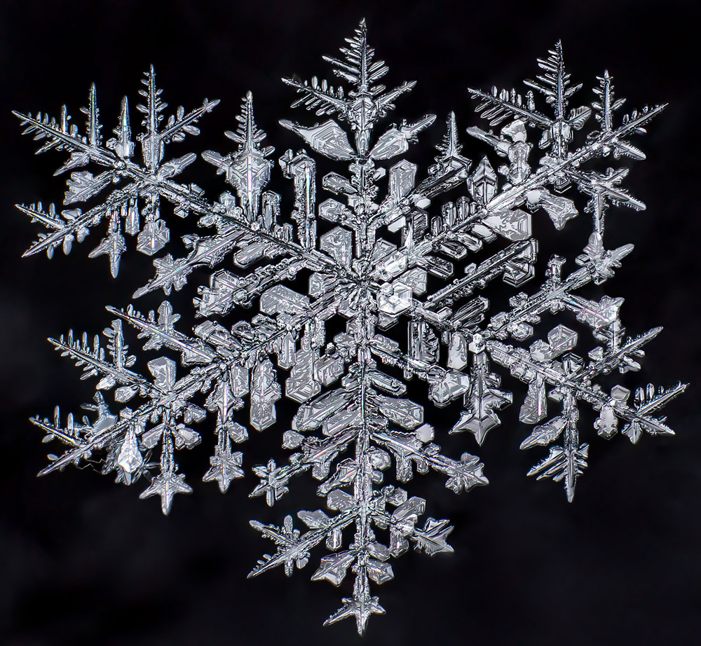 Автор фото: Дон Комаречка