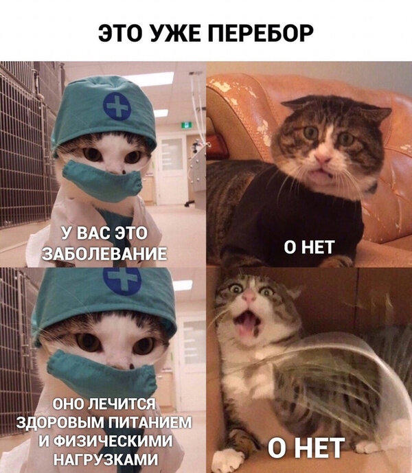 Фото © Pikabu / Warso