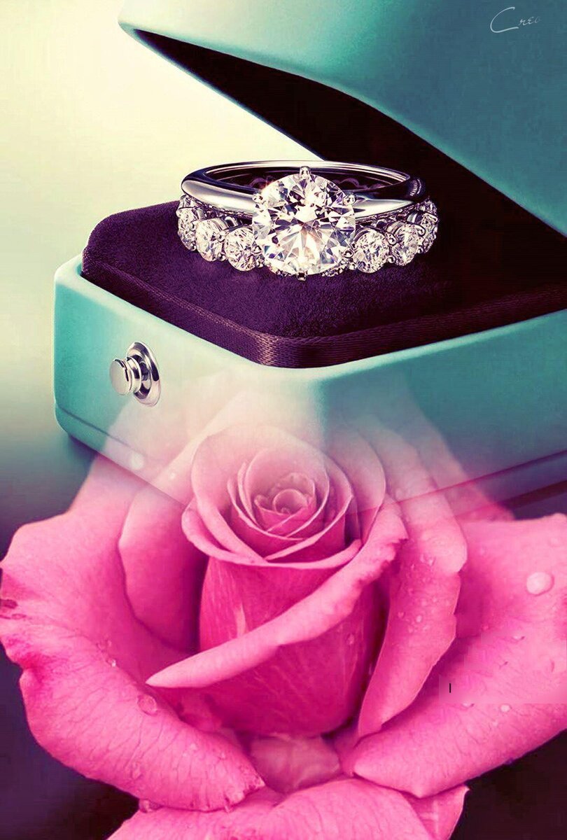 Фотоколлаж автора статьи