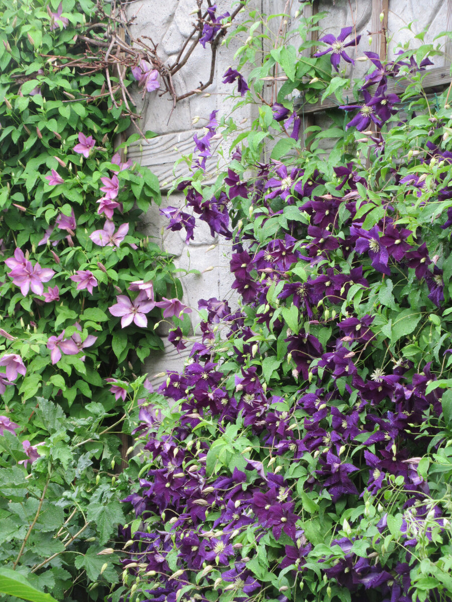 Июнь прошлого года