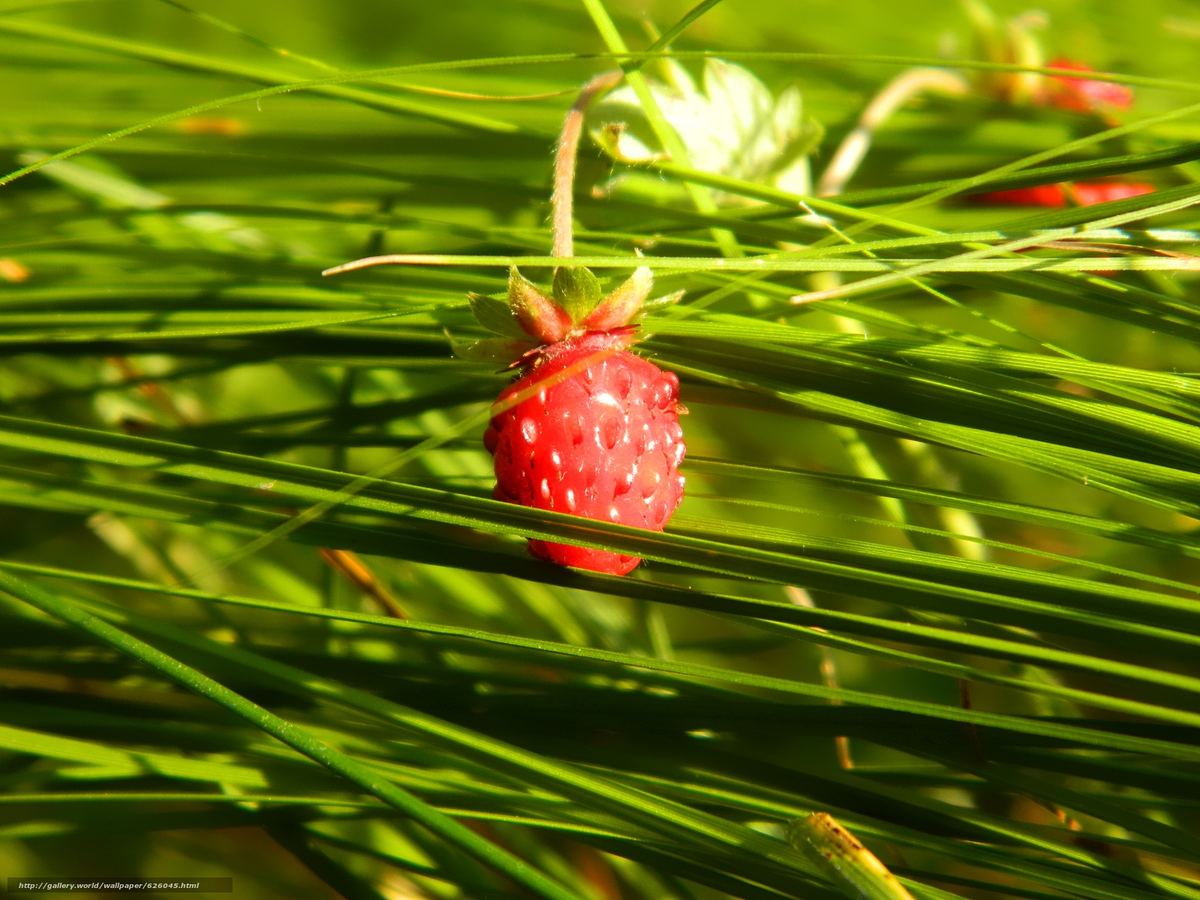 Помечтаем о прохладе...)